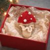 Knitting Pattern Christmas Ornament Fly Agaric